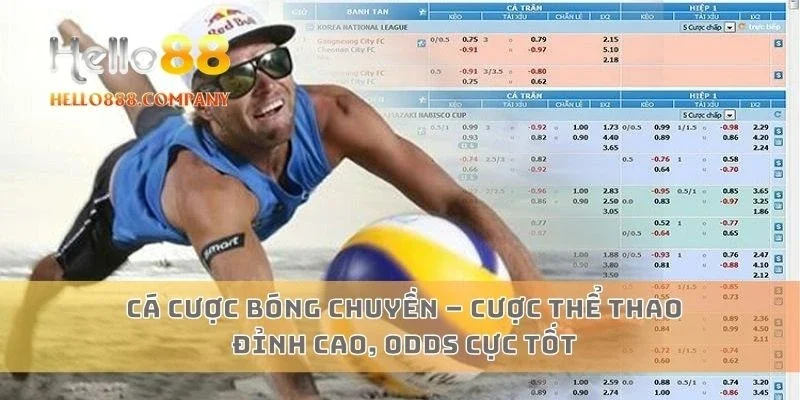 Cá Cược Bóng Chuyền – Cược Thể Thao Đỉnh Cao, Odds Cực Tốt